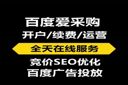 SEM运营推广助力行业领导地位